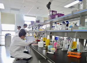 成都高新區(qū)力促生物科技創(chuàng)新實(shí)現(xiàn) 并跑 和 領(lǐng)跑